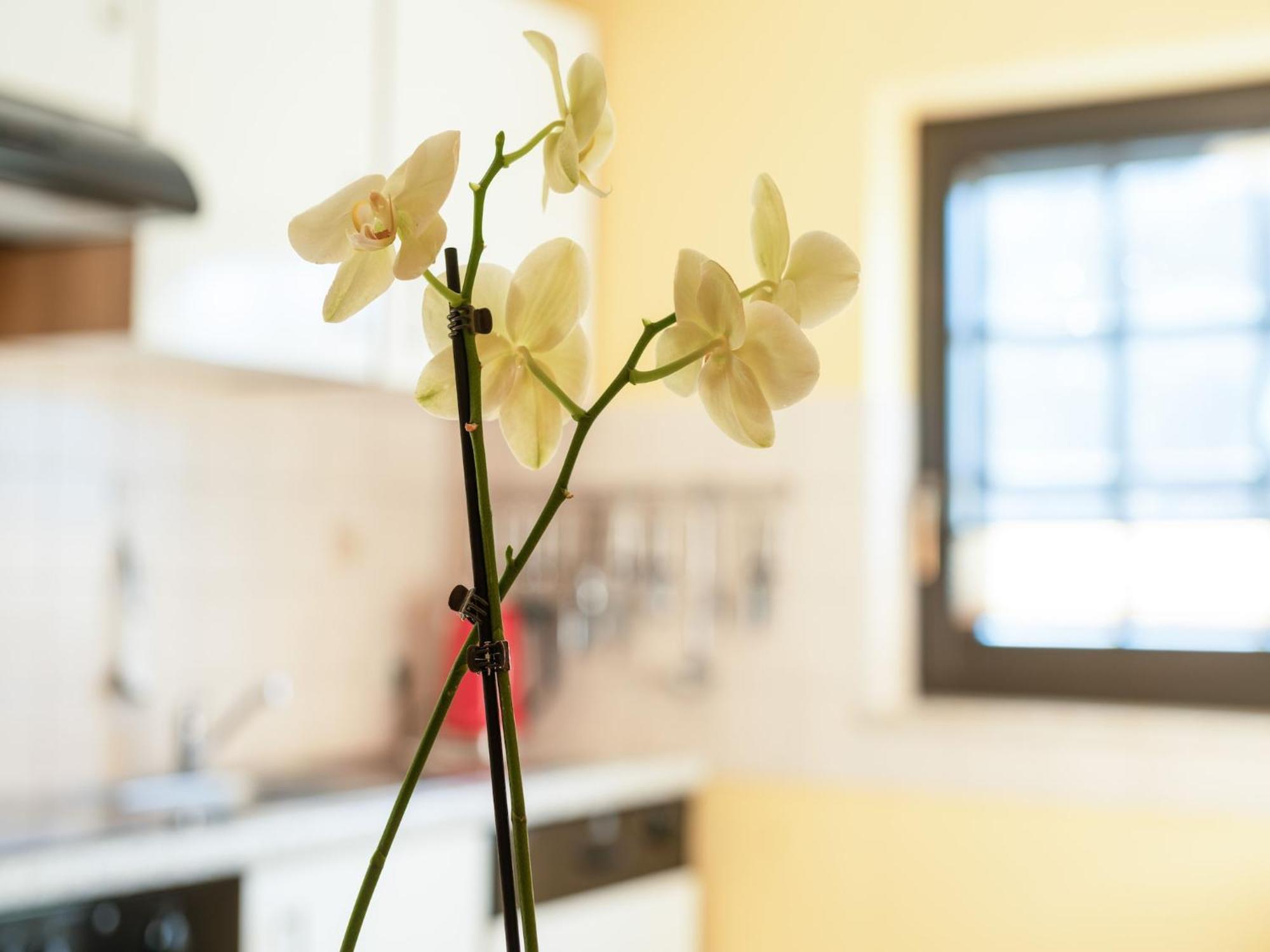 A Modern Apartment In The Hunsr Ck Region S Romantic Drohn Valley Merschbach Extérieur photo